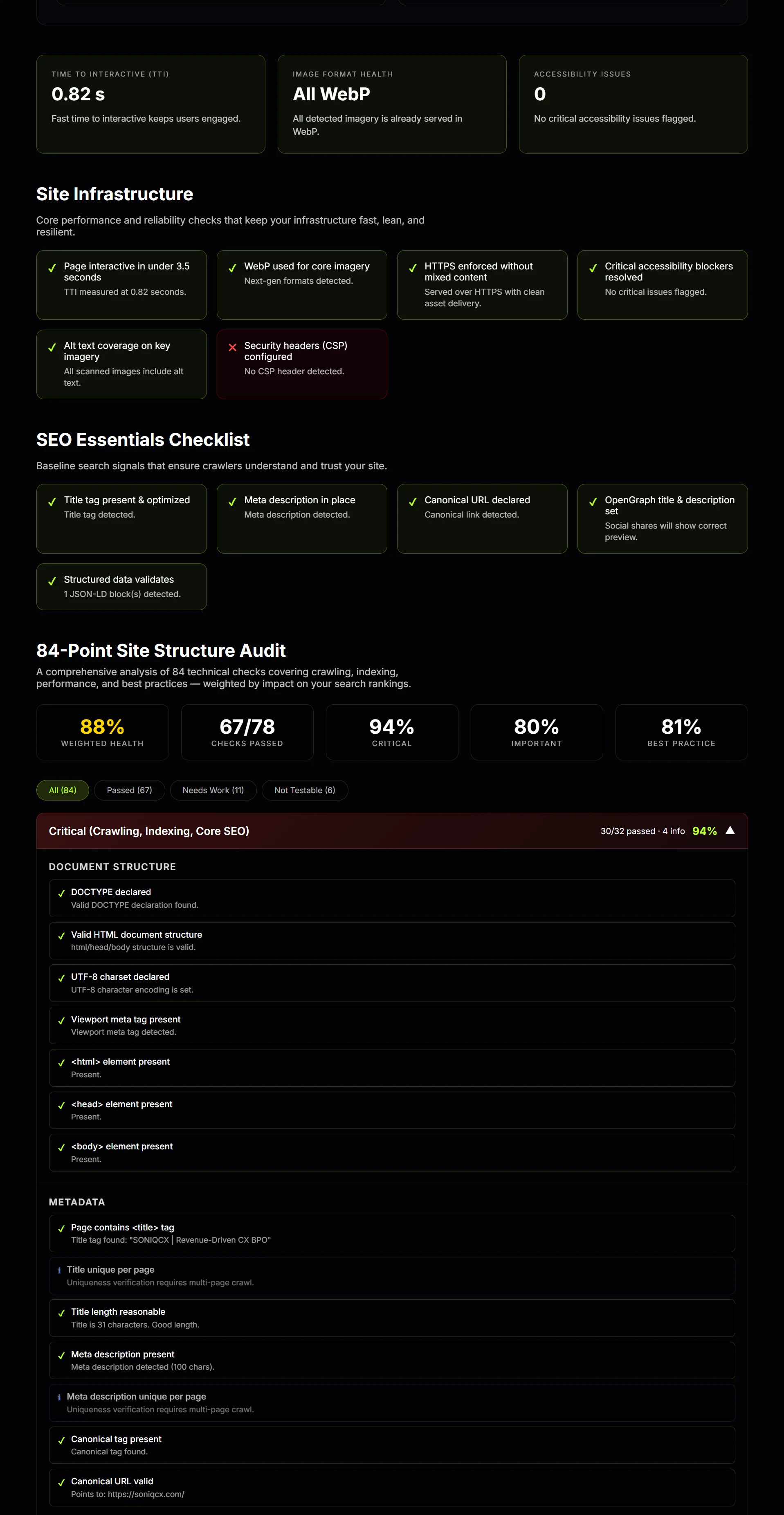 Detailed website scan section showing grouped performance and technical checks